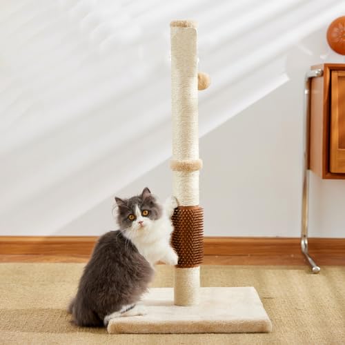 PJDDP Großes Katzenkratzbrett, Dehnbar, Stabiler Und Starker Kätzchen-Hängeball – Vertikale Stange Und Weiche Plüschbasis, Katzentürme Zum Spielen Von Katzen Im Innenbereich – 80 cm,Braun PJDDP Großes Katzenkratzbrett, Dehnbar, Stabiler Und Starker Kätzchen-Hängeball – Vertikale Stange Und Weiche Plüschbasis, Katzentürme Zum Spielen Von Katzen Im Innenbereich – 80 cm,Braun von PJDDP