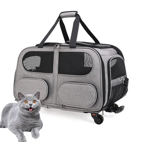 PJDDP Haustier-Tragetasche Mit Doppelfach Für Katze, Hund, Roll-Tragetasche Für 2 Kleine Katzen/Hunde, Super Belüftetes Design, Ideal Für Reisen/Spazierengehen/Camping,Grau PJDDP Haustier-Tragetasche Mit Doppelfach Für Katze, Hund, Roll-Tragetasche Für 2 Kleine Katzen/Hunde, Super Belüftetes Design, Ideal Für Reisen/Spazierengehen/Camping,Grau von PJDDP