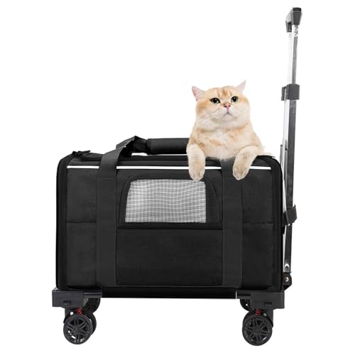 PJDDP Haustiergepäck, Haustier-Tragerucksack Mit Rollen, Tragetasche Für Kleine Und Mittelgroße Hunde Und Katzen, Leichte Haustier-Tragetasche for Wandern Für Reisen Im,Schwarz PJDDP Haustiergepäck, Haustier-Tragerucksack Mit Rollen, Tragetasche Für Kleine Und Mittelgroße Hunde Und Katzen, Leichte Haustier-Tragetasche for Wandern Für Reisen Im,Schwarz von PJDDP