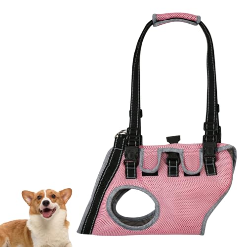PJDDP Hundeliftgeschirr, Rehabilitationsschlingenlift, Verstellbare, Gepolsterte, Atmungsaktive Gurte Für Den Spaziergang Mit Alten Hunden Mit Stabilitätsverlust,Rosa,S PJDDP Hundeliftgeschirr, Rehabilitationsschlingenlift, Verstellbare, Gepolsterte, Atmungsaktive Gurte Für Den Spaziergang Mit Alten Hunden Mit Stabilitätsverlust,Rosa,S von PJDDP