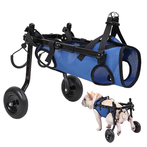 Hunderollstuhl, Hunde- Oder Katzenrollstuhl Für Die Hinterbeine, Mobilitätshilfen Für Behinderte Haustiere, Helfen Kleinen Haustieren Mit Gelähmten Hinterbeinen, Ihre Mobilität Wiederherzustellen,M Hunderollstuhl, Hunde- Oder Katzenrollstuhl Für Die Hinterbeine, Mobilitätshilfen Für Behinderte Haustiere, Helfen Kleinen Haustieren Mit Gelähmten Hinterbeinen, Ihre Mobilität Wiederherzustellen,M von PJDDP