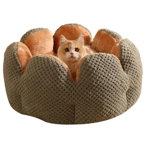 PJDDP Katzenbetten Für Innenkatzen, Kaktus Blütenblatt Haustierbett Kaktusform Bequemes Haustierbett Großer Raum Weich Warm Schlafende Katze,Grau,L PJDDP Katzenbetten Für Innenkatzen, Kaktus Blütenblatt Haustierbett Kaktusform Bequemes Haustierbett Großer Raum Weich Warm Schlafende Katze,Grau,L von PJDDP