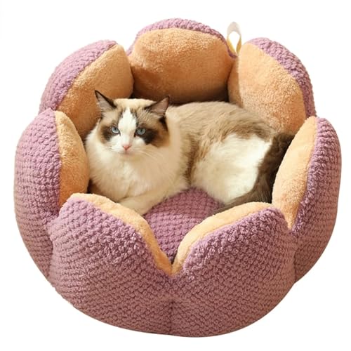 PJDDP Katzenbetten Für Innenkatzen, Kaktus Blütenblatt Haustierbett Kaktusform Bequemes Haustierbett Großer Raum Weich Warm Schlafende Katze,Lila,M PJDDP Katzenbetten Für Innenkatzen, Kaktus Blütenblatt Haustierbett Kaktusform Bequemes Haustierbett Großer Raum Weich Warm Schlafende Katze,Lila,M von PJDDP