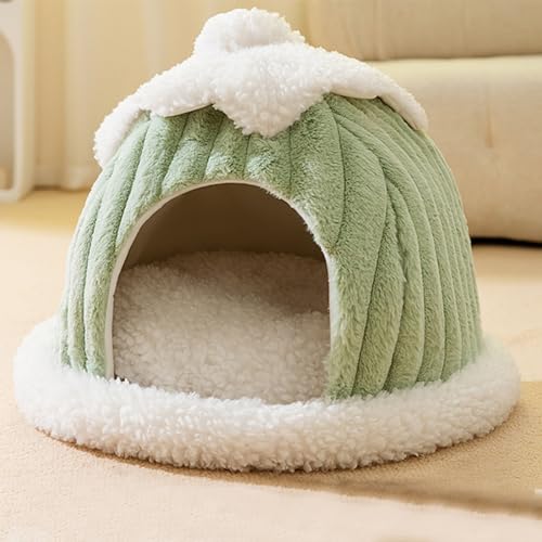 PJDDP Katzenbetten Für Innenkatzen, Katzenbedeckte Bett Semi Geschlossene Katzennest Haustier Zelt Katzenhaus Mit Abnehmbarem Kissen,Grün PJDDP Katzenbetten Für Innenkatzen, Katzenbedeckte Bett Semi Geschlossene Katzennest Haustier Zelt Katzenhaus Mit Abnehmbarem Kissen,Grün von PJDDP