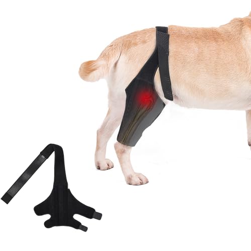 PJDDP Adjustable Leg Brace Für Hund, Hund Hinteren Beinschienen Für Die Unterstützung Kreuzband, Hund Beinschienen Für Hip Dysplasie Unterstützung Für Kniescheibe Dislokation Arthritis,L von PJDDP