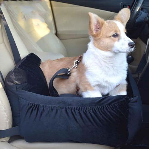 PJDDP Autositz Hund,Haustier-Autositz,Tragbares Weiches Hundeauto Reisebett, Haustier Auto Erhöhter Mit Sicherheitsgurt Für Kleine Oder Hunde,Schwarz PJDDP Autositz Hund,Haustier-Autositz,Tragbares Weiches Hundeauto Reisebett, Haustier Auto Erhöhter Mit Sicherheitsgurt Für Kleine Oder Hunde,Schwarz von PJDDP