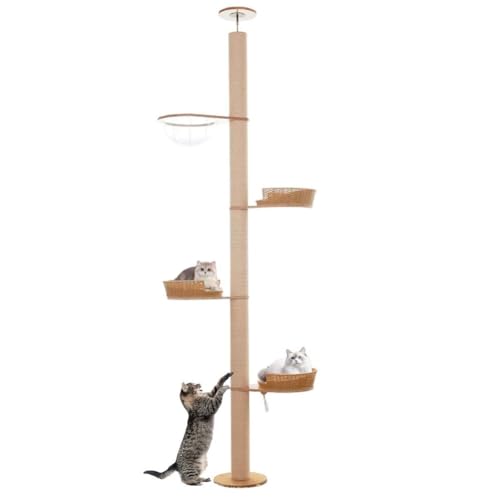 PJDDP Deckenspanner Kratzbaum, Kratzbaum Schmal, 4 Etagen Bis Zur Decke Reichender Katzenturm, Für Katzen Zum Klettern, Kratzen, Ausschau Halten Und Spielen PJDDP Deckenspanner Kratzbaum, Kratzbaum Schmal, 4 Etagen Bis Zur Decke Reichender Katzenturm, Für Katzen Zum Klettern, Kratzen, Ausschau Halten Und Spielen von PJDDP