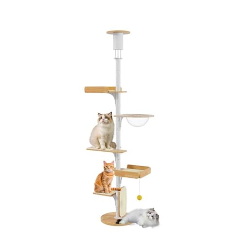 PJDDP Deckenspanner Kratzbaum, Kratzbaum Schmal Stabil, 5-Stöckig Katzenkletter-Aktivitätszentrum Mit Einstellbarer Höhe/Stabilen Plattformen/Baumelnden Kugeln,237.5 to 267.5cm PJDDP Deckenspanner Kratzbaum, Kratzbaum Schmal Stabil, 5-Stöckig Katzenkletter-Aktivitätszentrum Mit Einstellbarer Höhe/Stabilen Plattformen/Baumelnden Kugeln,237.5 to 267.5cm von PJDDP