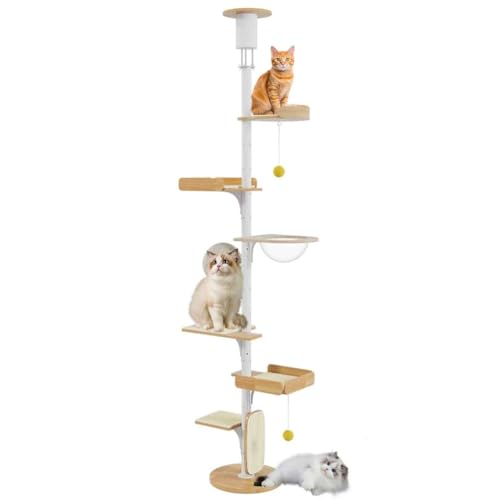 PJDDP Deckenspanner Kratzbaum, Kratzbaum Schmal Stabil, 5-Stöckig Katzenkletter-Aktivitätszentrum Mit Einstellbarer Höhe/Stabilen Plattformen/Baumelnden Kugeln,282.5 to 312.5cm PJDDP Deckenspanner Kratzbaum, Kratzbaum Schmal Stabil, 5-Stöckig Katzenkletter-Aktivitätszentrum Mit Einstellbarer Höhe/Stabilen Plattformen/Baumelnden Kugeln,282.5 to 312.5cm von PJDDP