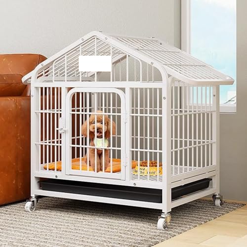 PJDDP Dog Homes, Robuste Hundebox, Hundekäfig Für Drinnen Und Draußen Auf Rädern Mit Schlössern Und Abnehmbarem Tablett Für Mittelgroße Und Große Hunde,Weiß,M PJDDP Dog Homes, Robuste Hundebox, Hundekäfig Für Drinnen Und Draußen Auf Rädern Mit Schlössern Und Abnehmbarem Tablett Für Mittelgroße Und Große Hunde,Weiß,M von PJDDP
