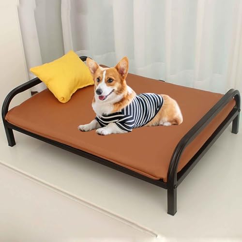 PJDDP Erhöhtes Hundeliege Outdoor, Kühlendes Erhöhtes Hund Haustierbett, Erhöhtes Katzenbett Mit Abnehmbarem Waschbarem Kissen Für Drinnen Und Draußen,Schwarz,M PJDDP Erhöhtes Hundeliege Outdoor, Kühlendes Erhöhtes Hund Haustierbett, Erhöhtes Katzenbett Mit Abnehmbarem Waschbarem Kissen Für Drinnen Und Draußen,Schwarz,M von PJDDP