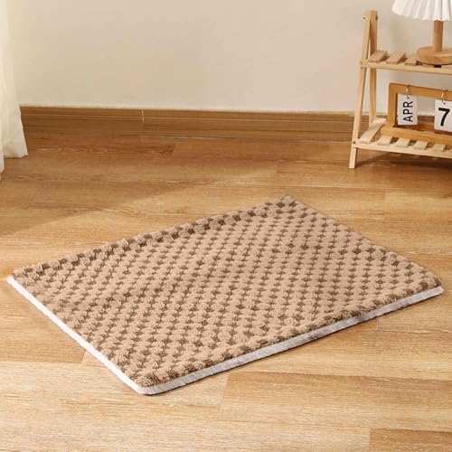 PJDDP Flauschige Hundedecke, Katzendecke, Waschbar Hundedecke, Weiche Und Warme Haustierdecke, Sofaschoner Für Hunde, Für Kleine Mittlere Hunde Katzen,Braun,L PJDDP Flauschige Hundedecke, Katzendecke, Waschbar Hundedecke, Weiche Und Warme Haustierdecke, Sofaschoner Für Hunde, Für Kleine Mittlere Hunde Katzen,Braun,L von PJDDP