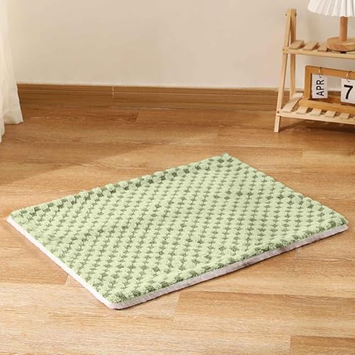 PJDDP Flauschige Hundedecke, Katzendecke, Waschbar Hundedecke, Weiche Und Warme Haustierdecke, Sofaschoner Für Hunde, Für Kleine Mittlere Hunde Katzen,Grün,M PJDDP Flauschige Hundedecke, Katzendecke, Waschbar Hundedecke, Weiche Und Warme Haustierdecke, Sofaschoner Für Hunde, Für Kleine Mittlere Hunde Katzen,Grün,M von PJDDP