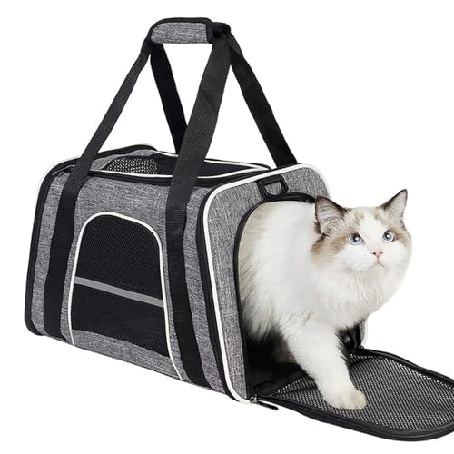 PJDDP Haustier-Tragetasche, Faltbare Tragbare Katzen-Tragetasche, Öffnung Oben, Reisefreundlich, Mit Abnehmbarer Matte, Atmungsaktives Netz Für Hunde, Katzen, Welpen, Kätzchen,Grau,L PJDDP Haustier-Tragetasche, Faltbare Tragbare Katzen-Tragetasche, Öffnung Oben, Reisefreundlich, Mit Abnehmbarer Matte, Atmungsaktives Netz Für Hunde, Katzen, Welpen, Kätzchen,Grau,L von PJDDP
