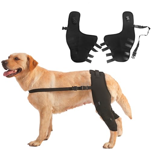 PJDDP Hund Kniestütze, Hunde-Knieorthese Hinterbein Doppelt Hund Kniestabilisator,Unterstützung Für Hund ACL CCL Cruciate Ligament Verletzung Joint Pain and Muscle Sore,Schwarz,M von PJDDP