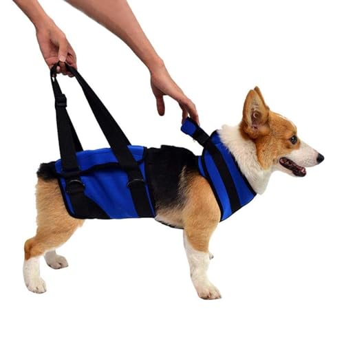 PJDDP Hunde Hebegeschirr, Hundetragetuch für Ganzkörper Unterstützung und Rehabilitation, hebt Weste, atmungsaktive Gurte, für ältere Hunde, verletzte Hunde, Treppen hoch und runter,L PJDDP Hunde Hebegeschirr, Hundetragetuch für Ganzkörper Unterstützung und Rehabilitation, hebt Weste, atmungsaktive Gurte, für ältere Hunde, verletzte Hunde, Treppen hoch und runter,L von PJDDP