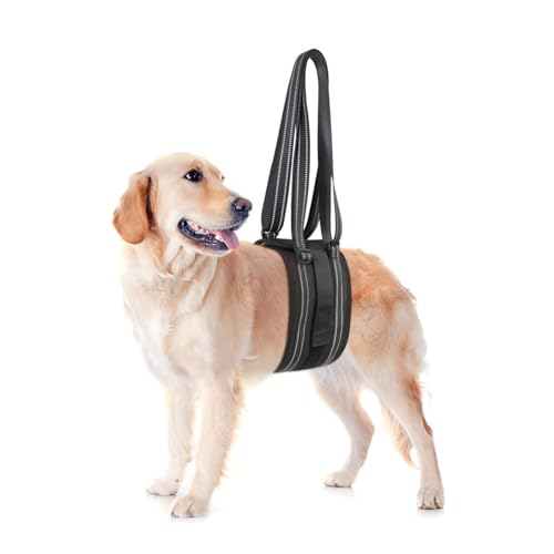 PJDDP Hunde Hebegeschirr für das Hinterbein, Hundetragetuch zur Unterstützung des Hinterbeins, für ältere Hunde, verletzte Hunde und Hunde mit eingeschränkter Mobilität, Arthritis,L PJDDP Hunde Hebegeschirr für das Hinterbein, Hundetragetuch zur Unterstützung des Hinterbeins, für ältere Hunde, verletzte Hunde und Hunde mit eingeschränkter Mobilität, Arthritis,L von PJDDP