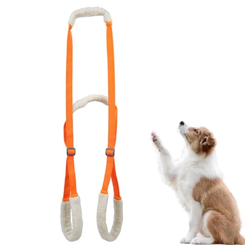 PJDDP Hunde-Stützgeschirr – Hunde-Stützgeschirr Für Hinterbeine, Hunde-Hintergeschirr-Unterstützung Für Ältere, Verletzte, Kranke Und Behinderte Hunde,Orange PJDDP Hunde-Stützgeschirr – Hunde-Stützgeschirr Für Hinterbeine, Hunde-Hintergeschirr-Unterstützung Für Ältere, Verletzte, Kranke Und Behinderte Hunde,Orange von PJDDP