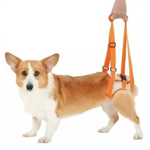 PJDDP Hunde Stützgeschirr für Hinterbeine, Hundetragetuch für kleine, mittelgroße und große Hunde, Hinterbein, Hüfte, Gelenkverletzung, ältere Menschen und Arthritis,L PJDDP Hunde Stützgeschirr für Hinterbeine, Hundetragetuch für kleine, mittelgroße und große Hunde, Hinterbein, Hüfte, Gelenkverletzung, ältere Menschen und Arthritis,L von PJDDP