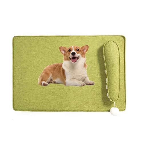 PJDDP Hundebett, Hundekissen, Flauschige Hundematte Mit Abnehmbarem Waschbarem Bezug, Katzenbett rutschfest, Für Kleine, Mittlere Hunde,Grün,M von PJDDP