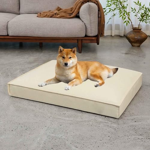 PJDDP Hundebett, Hundekissen, Hundematratze, Weiche Katzenbett Mit Rutschfester Unterseite, Bezug Abnehmbar Und Maschinenwaschbar, Für Kleine, Mittelgroße Und Große Hunde, Katzen,Beige,XL PJDDP Hundebett, Hundekissen, Hundematratze, Weiche Katzenbett Mit Rutschfester Unterseite, Bezug Abnehmbar Und Maschinenwaschbar, Für Kleine, Mittelgroße Und Große Hunde, Katzen,Beige,XL von PJDDP