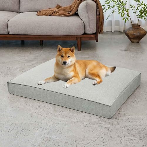 PJDDP Hundebett, Hundekissen, Hundematratze, Weiche Katzenbett Mit Rutschfester Unterseite, Bezug Abnehmbar Und Maschinenwaschbar, Für Kleine, Mittelgroße Und Große Hunde, Katzen,Grau,XXL PJDDP Hundebett, Hundekissen, Hundematratze, Weiche Katzenbett Mit Rutschfester Unterseite, Bezug Abnehmbar Und Maschinenwaschbar, Für Kleine, Mittelgroße Und Große Hunde, Katzen,Grau,XXL von PJDDP