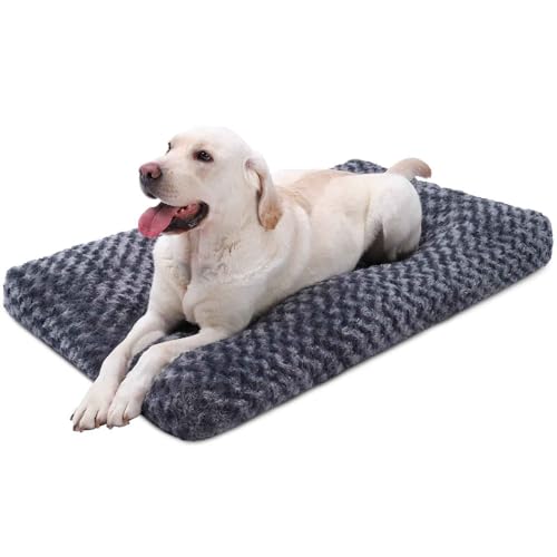 PJDDP Hundebett, Hundematte, Haustierbett Für Hunde Katzen, Plüsch-Hundesofakissen Mit Rutschfestem Boden Für Kleine Mittelgroße Und Große Hunde,Dark Gray,M PJDDP Hundebett, Hundematte, Haustierbett Für Hunde Katzen, Plüsch-Hundesofakissen Mit Rutschfestem Boden Für Kleine Mittelgroße Und Große Hunde,Dark Gray,M von PJDDP