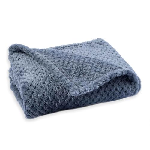 PJDDP Hundedecke Flauschig Und Weich, Katzendecke, Haustier Decke Für Unterwegs, Waschbar Hundedecke, Für Grosse Mittlere Kleine Katzen Und Hunde,Blue Gray,XS PJDDP Hundedecke Flauschig Und Weich, Katzendecke, Haustier Decke Für Unterwegs, Waschbar Hundedecke, Für Grosse Mittlere Kleine Katzen Und Hunde,Blue Gray,XS von PJDDP