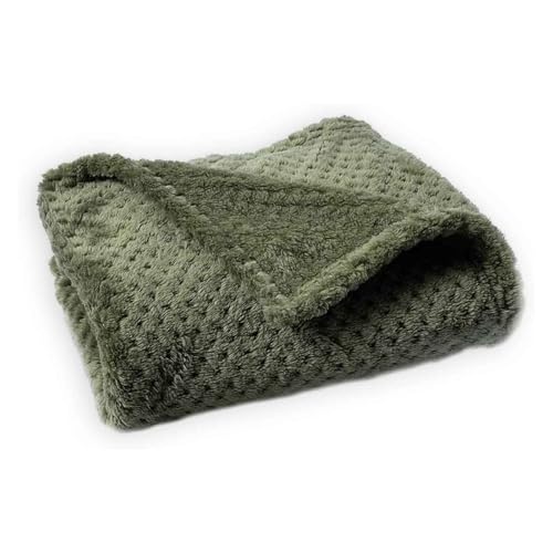 PJDDP Hundedecke Flauschig Und Weich, Katzendecke, Haustier Decke Für Unterwegs, Waschbar Hundedecke, Für Grosse Mittlere Kleine Katzen Und Hunde,Dark Green,XS PJDDP Hundedecke Flauschig Und Weich, Katzendecke, Haustier Decke Für Unterwegs, Waschbar Hundedecke, Für Grosse Mittlere Kleine Katzen Und Hunde,Dark Green,XS von PJDDP
