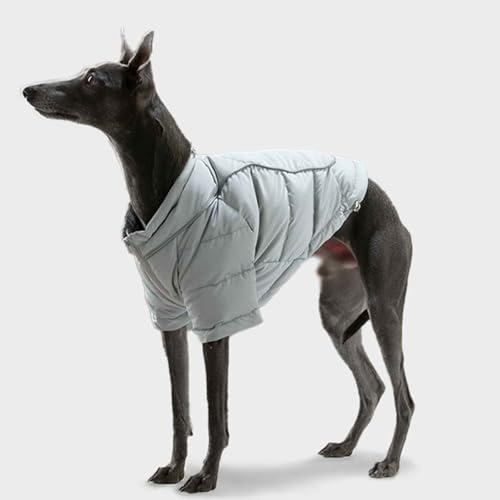 PJDDP Hundejacke, Hundemantel Für Hunde Winterweste Wasserdicht Hunde Wintermantel, Winddicht Hundejacke Mit Reflektierende Streifen, Für Kleine Mittelgroße Hunde,L PJDDP Hundejacke, Hundemantel Für Hunde Winterweste Wasserdicht Hunde Wintermantel, Winddicht Hundejacke Mit Reflektierende Streifen, Für Kleine Mittelgroße Hunde,L von PJDDP