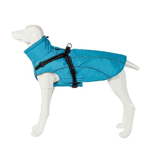 PJDDP Hundejacken Wasserdicht Für Winter, Reflektierende Hundeweste Mit Geschirr, Warme Rollkragen Hundejacke, Für Kleine Mittelgroße Grosse Hunde,Blau,S PJDDP Hundejacken Wasserdicht Für Winter, Reflektierende Hundeweste Mit Geschirr, Warme Rollkragen Hundejacke, Für Kleine Mittelgroße Grosse Hunde,Blau,S von PJDDP