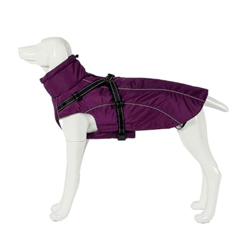 PJDDP Hundejacken Wasserdicht Für Winter, Reflektierende Hundeweste Mit Geschirr, Warme Rollkragen Hundejacke, Für Kleine Mittelgroße Grosse Hunde,Lila,XL PJDDP Hundejacken Wasserdicht Für Winter, Reflektierende Hundeweste Mit Geschirr, Warme Rollkragen Hundejacke, Für Kleine Mittelgroße Grosse Hunde,Lila,XL von PJDDP