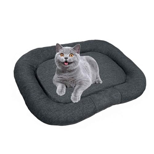 PJDDP Hundekissen, Katzenbett, rutschfeste Unterseite Hundekorb, Abnehmbar Und Waschbar, Für Kleine Hunde, Mittelgroße, Grosse Hunde,Graphite Gray,M PJDDP Hundekissen, Katzenbett, rutschfeste Unterseite Hundekorb, Abnehmbar Und Waschbar, Für Kleine Hunde, Mittelgroße, Grosse Hunde,Graphite Gray,M von PJDDP