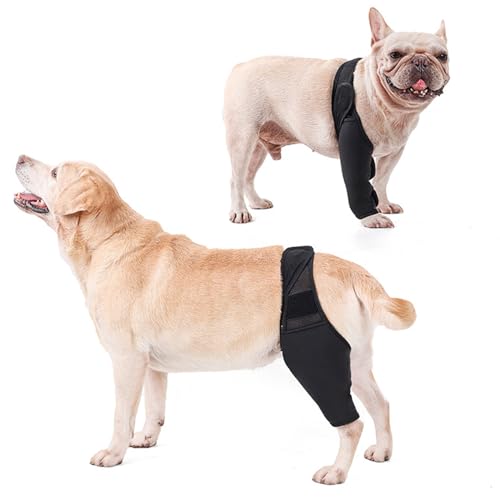 PJDDP Hundekniebandage, Hund Acl Brace Hinterbein Einstellbare Hundehinterbeinbandage Hundekniebandage Für Kreuzbandverletzung Gelenkschmerzen Muskelkater,M von PJDDP