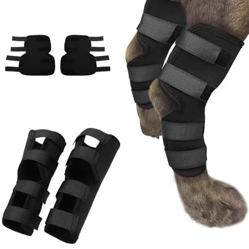 PJDDP Hundeknieorthese, Hinterbein-Sprunggelenkstütze Sprunggelenk & Knöchel Unterstützung 2er-Pack Hundebeinschienen für das hintere Bein Hundehalterung für gerissenes ACL & CCL,M von PJDDP