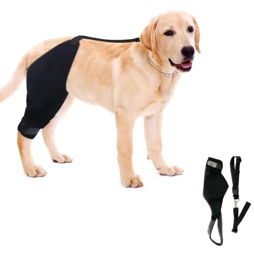 PJDDP Hundekniestütze Für Das Hinterbein, Hinterbeinstütze Für Hunde Einstellbare Beinschiene Mit Riemen Unterstützung Bei Gerissenem ACL-Hinterbein Reduktion Von Schmerzen PJDDP Hundekniestütze Für Das Hinterbein, Hinterbeinstütze Für Hunde Einstellbare Beinschiene Mit Riemen Unterstützung Bei Gerissenem ACL-Hinterbein Reduktion Von Schmerzen von PJDDP