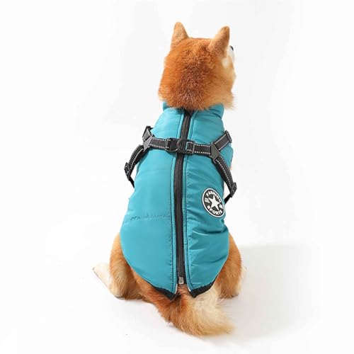 PJDDP Hundemantel Wasserdicht, Winter Hundejacke, Winddichte Hundekleidung Mit Reflektierender Streifen Und Geschirr, Für Kleine Mittelere Hunde,Lake Blue,S PJDDP Hundemantel Wasserdicht, Winter Hundejacke, Winddichte Hundekleidung Mit Reflektierender Streifen Und Geschirr, Für Kleine Mittelere Hunde,Lake Blue,S von PJDDP
