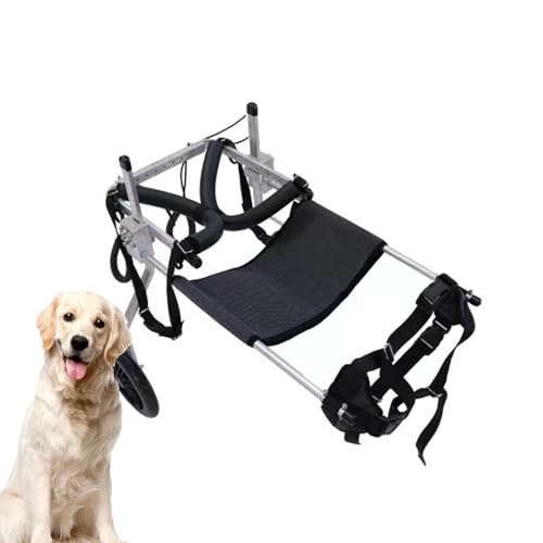 PJDDP Hundemobilitätswagen Für Hinterbeine, Verstellbarer Hunderollstuhl, Für Haustierrollstühle Mit Behinderten Hinterbeinen, Kleine Hunde, Katzen/Hunde/Welpen Beim Gehen,XXL PJDDP Hundemobilitätswagen Für Hinterbeine, Verstellbarer Hunderollstuhl, Für Haustierrollstühle Mit Behinderten Hinterbeinen, Kleine Hunde, Katzen/Hunde/Welpen Beim Gehen,XXL von PJDDP
