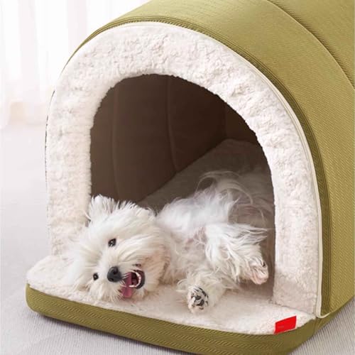 PJDDP Katzenbett Höhle, Katzenhaus, Weiches Und Warmes Hundebett,Haustierbett Mit Rutschfestem Boden, Für Mittelgroße Kleine Hunde Katzen,L PJDDP Katzenbett Höhle, Katzenhaus, Weiches Und Warmes Hundebett,Haustierbett Mit Rutschfestem Boden, Für Mittelgroße Kleine Hunde Katzen,L von PJDDP