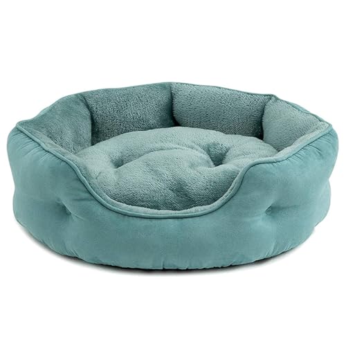 PJDDP Katzenbetten Für Innenkatzen, Hundesofa Für Kleine Hunde Runde Hundebettkissen Waschbarer Haustierbett Für Welpen Und Kätzchen,Blau,L PJDDP Katzenbetten Für Innenkatzen, Hundesofa Für Kleine Hunde Runde Hundebettkissen Waschbarer Haustierbett Für Welpen Und Kätzchen,Blau,L von PJDDP