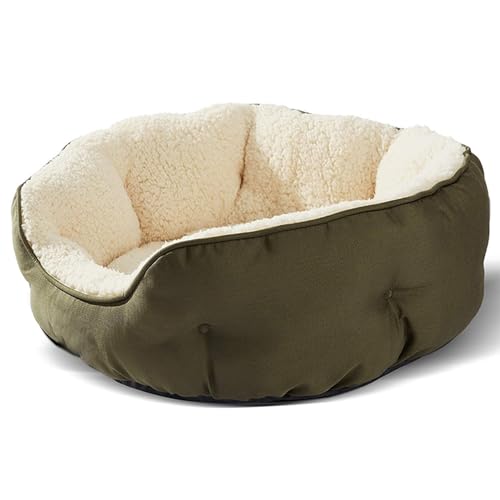 PJDDP Katzenbetten Für Innenkatzen, Hundesofa Für Kleine Hunde Runde Hundebettkissen Waschbarer Haustierbett Für Welpen Und Kätzchen,Grün,M PJDDP Katzenbetten Für Innenkatzen, Hundesofa Für Kleine Hunde Runde Hundebettkissen Waschbarer Haustierbett Für Welpen Und Kätzchen,Grün,M von PJDDP