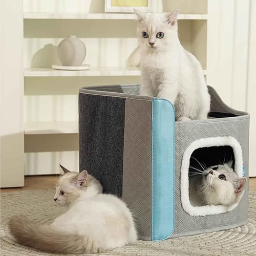 PJDDP Katzenhöhle, Katzenhaus, Katzenbett Für Hauskatzen, Höhle Für Hauskatzen Mit Kratzbrett, Katzenhöhle 2 Schicht, Für 2 Katzen PJDDP Katzenhöhle, Katzenhaus, Katzenbett Für Hauskatzen, Höhle Für Hauskatzen Mit Kratzbrett, Katzenhöhle 2 Schicht, Für 2 Katzen von PJDDP
