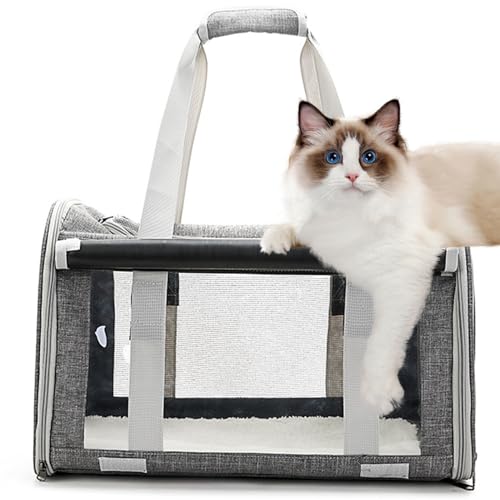 PJDDP Katzentrage, Haustierrucksack Für Mittelgroße Katzen Und Kleine Hunde, Tragbare Katzenreisetasche Mit Sichtbaren Netzfenstern Und Rollvorhang,Grau PJDDP Katzentrage, Haustierrucksack Für Mittelgroße Katzen Und Kleine Hunde, Tragbare Katzenreisetasche Mit Sichtbaren Netzfenstern Und Rollvorhang,Grau von PJDDP