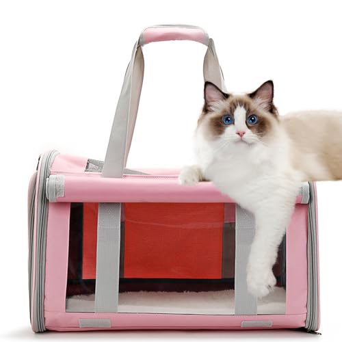 PJDDP Katzentrage, Haustierrucksack Für Mittelgroße Katzen Und Kleine Hunde, Tragbare Katzenreisetasche Mit Sichtbaren Netzfenstern Und Rollvorhang,Rosa PJDDP Katzentrage, Haustierrucksack Für Mittelgroße Katzen Und Kleine Hunde, Tragbare Katzenreisetasche Mit Sichtbaren Netzfenstern Und Rollvorhang,Rosa von PJDDP