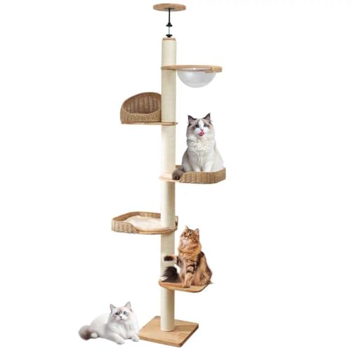 PJDDP Kratzbaum Deckenhoch, 236-246 cm, 5-Stöckiger Katzenbaum, Katzenkratzbaum Hoch, Stabiler Katzenbaum Mit Sisalsäulen Für Kratzen, Ausschau Halten Und Spielen PJDDP Kratzbaum Deckenhoch, 236-246 cm, 5-Stöckiger Katzenbaum, Katzenkratzbaum Hoch, Stabiler Katzenbaum Mit Sisalsäulen Für Kratzen, Ausschau Halten Und Spielen von PJDDP