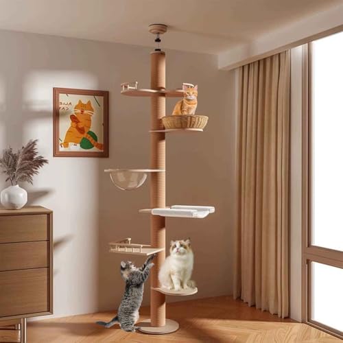 PJDDP Kratzbaum Deckenhoch, Katzenbaum Vom Boden Bis Zur Decke Verstellbar, Kratzbaum Deckenspanner Mit Raumkapsel, Katzenhängematte, Für Katzen Zum Klettern, Kratzen PJDDP Kratzbaum Deckenhoch, Katzenbaum Vom Boden Bis Zur Decke Verstellbar, Kratzbaum Deckenspanner Mit Raumkapsel, Katzenhängematte, Für Katzen Zum Klettern, Kratzen von PJDDP