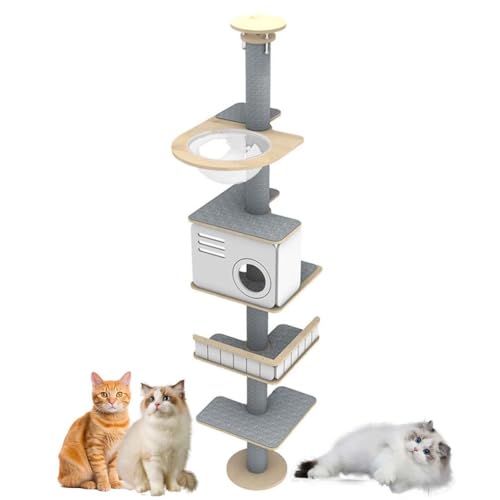 PJDDP Kratzbaum Deckenhoch, Kratzbaum Boden Bis Zur Decke Katzenturm, 5 Etagen Bis Zur Decke Reichender Katzenturm Für Katzen Zum Klettern, Kratzen,Style b PJDDP Kratzbaum Deckenhoch, Kratzbaum Boden Bis Zur Decke Katzenturm, 5 Etagen Bis Zur Decke Reichender Katzenturm Für Katzen Zum Klettern, Kratzen,Style b von PJDDP