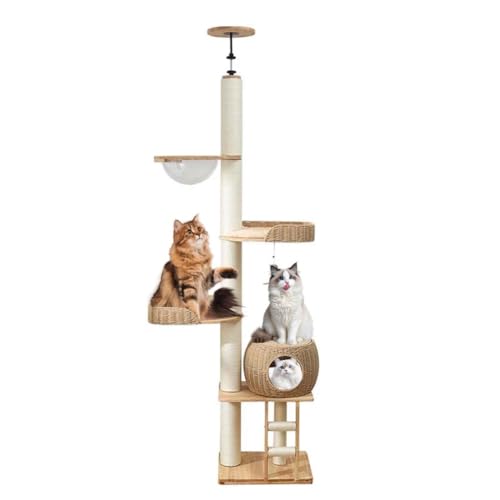 PJDDP Kratzbaum Deckenhoch Holz, Deckenspanner Kratzbaum, 5-Stöckiger Katzenbaum Mit Katzenhütte, Höhenverstellbar Von 236 Bis 246 cm Für Katzen Zum Klettern, Kratzen Und Spielen von PJDDP