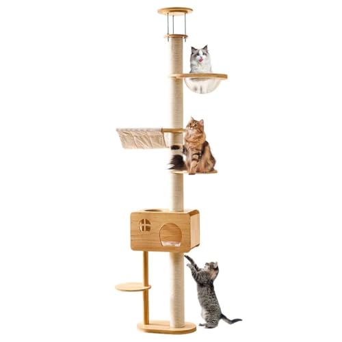PJDDP Kratzbaum Deckenhoch Holz, Kratzbaum Vom Boden Bis Zur Decke, Kratzbaum Deckenspanner Mit Hängematte, Höhenverstellbar (240-260Cm) Für Indoor-Katzen von PJDDP