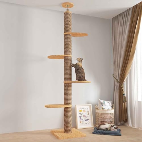 PJDDP Kratzbaum Hoch Stabil, Deckenspanner Kratzbaum, 5 Etagen Bis Zur Decke Reichender Katzenturm, Für Katzen Zum Klettern, Kratzen, Ausschau Halten Und Spielen,Ordinary PJDDP Kratzbaum Hoch Stabil, Deckenspanner Kratzbaum, 5 Etagen Bis Zur Decke Reichender Katzenturm, Für Katzen Zum Klettern, Kratzen, Ausschau Halten Und Spielen,Ordinary von PJDDP